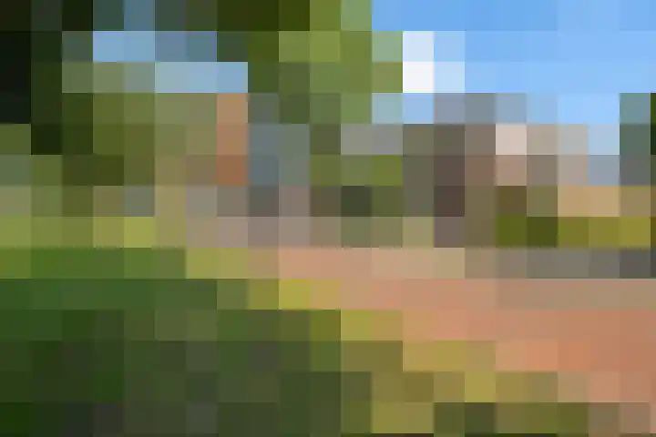 Meerwedesingel 41 Barendrecht thumbnail 42