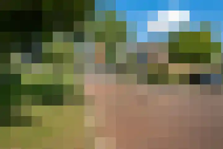 Meerwedesingel 41 Barendrecht thumbnail 43