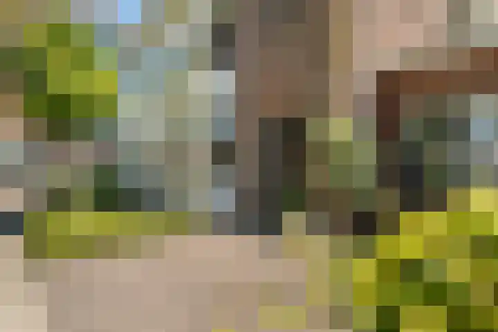 Meerwedesingel 41 Barendrecht thumbnail 6