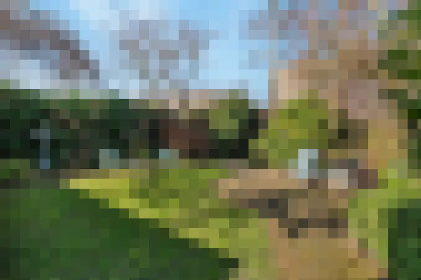 Meerwedesingel 68 Barendrecht thumbnail 33
