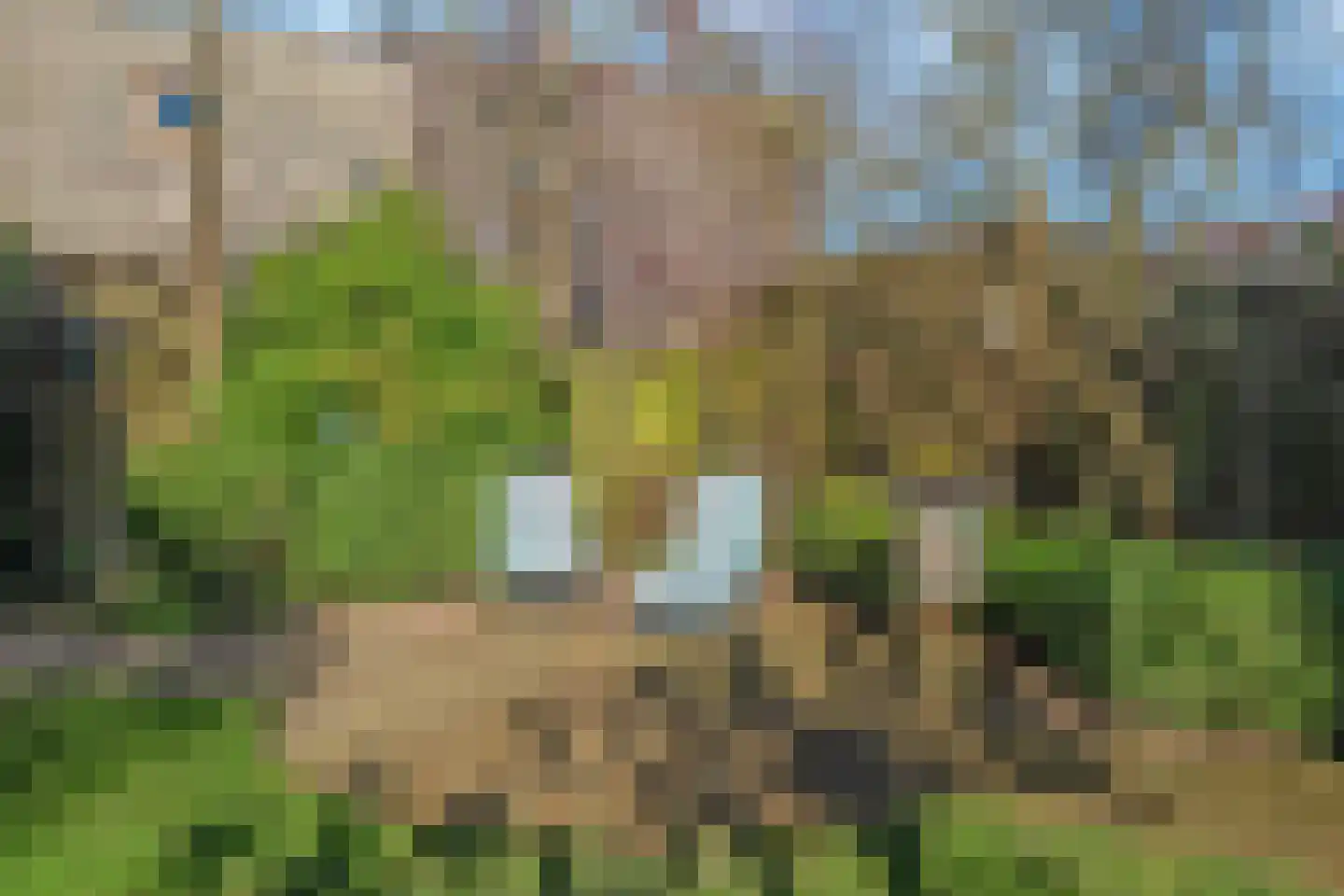 Meerwedesingel 68 Barendrecht thumbnail 34