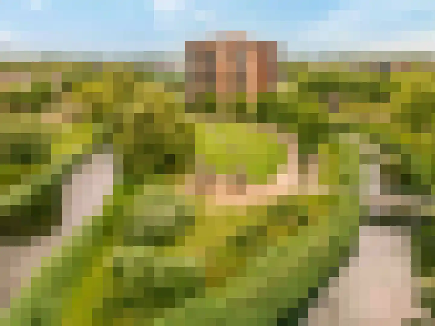 Meerwedesingel 70 Barendrecht thumbnail 58