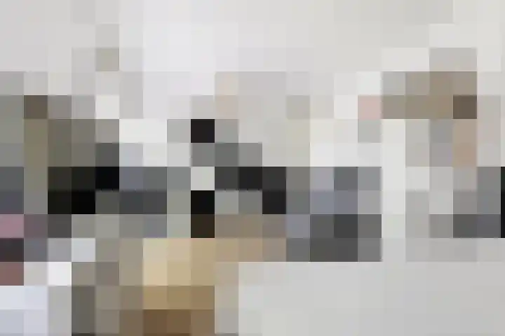 Meerwedesingel 85 Barendrecht thumbnail 32