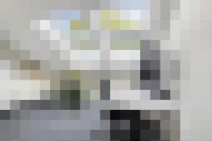 Meerwedesingel 85 Barendrecht thumbnail 38