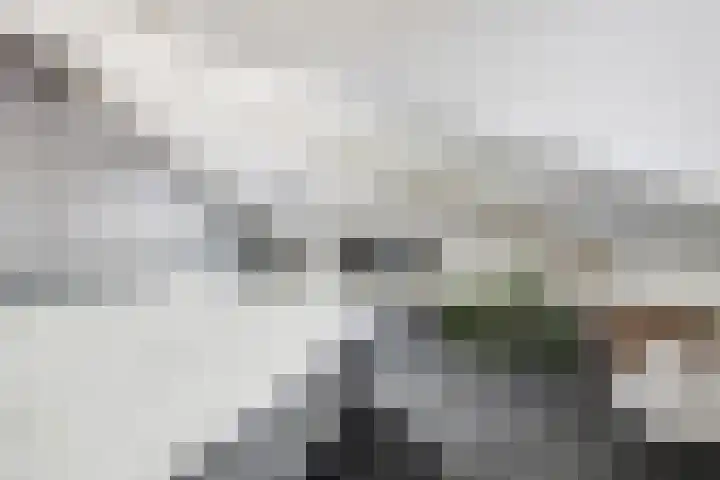 Meerwedesingel 85 Barendrecht thumbnail 45