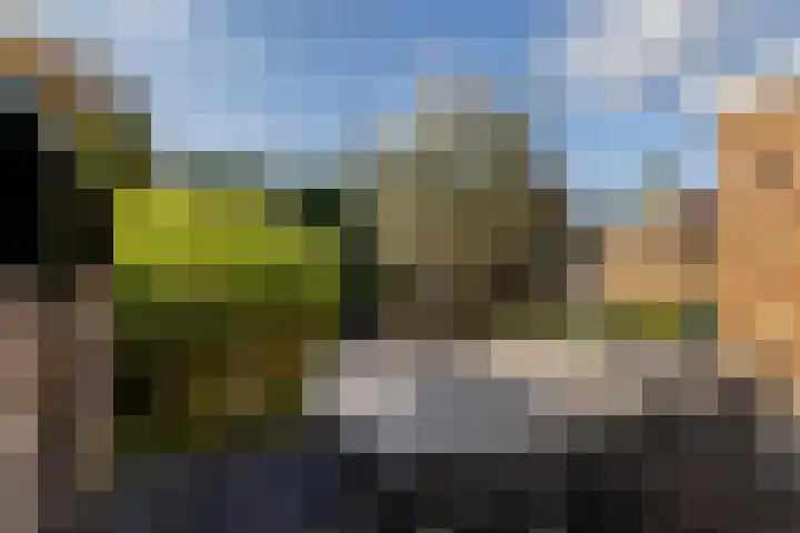 Meerwedesingel 85 Barendrecht thumbnail 47