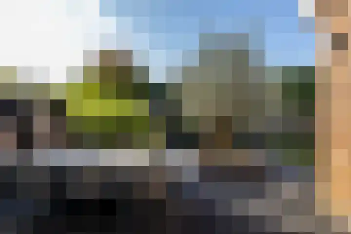Meerwedesingel 85 Barendrecht thumbnail 48