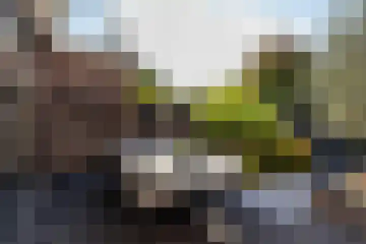 Meerwedesingel 85 Barendrecht thumbnail 49