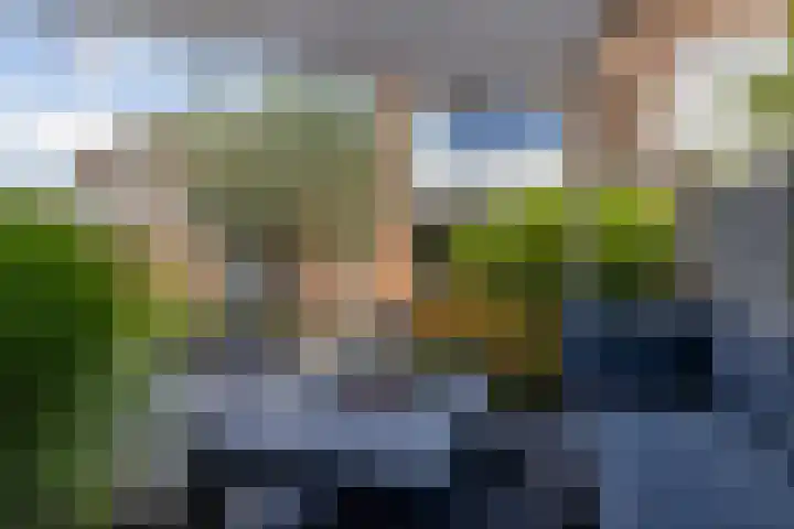 Meerwedesingel 85 Barendrecht thumbnail 59