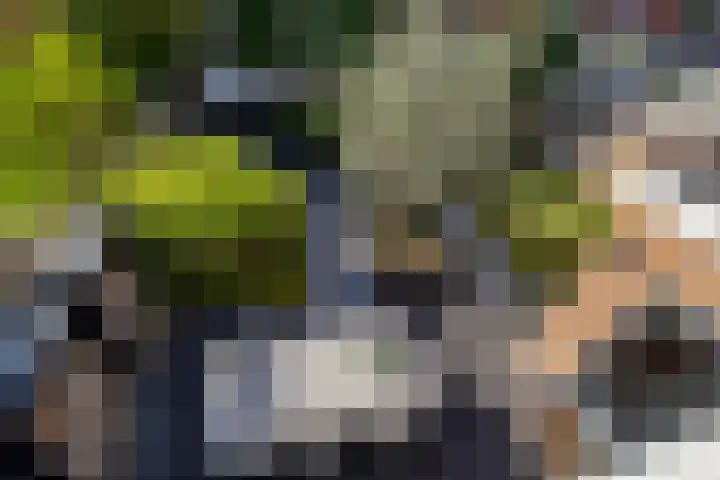 Meerwedesingel 85 Barendrecht thumbnail 6