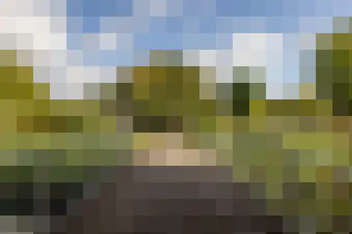 Meerwedesingel 85 Barendrecht thumbnail 63