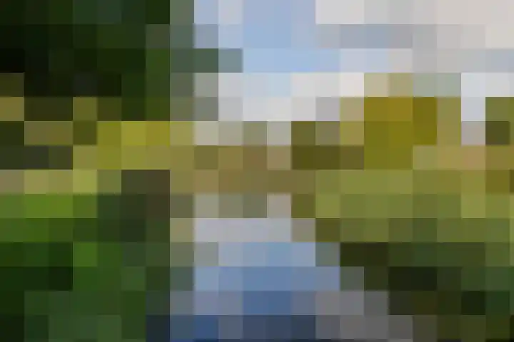 Meerwedesingel 85 Barendrecht thumbnail 64