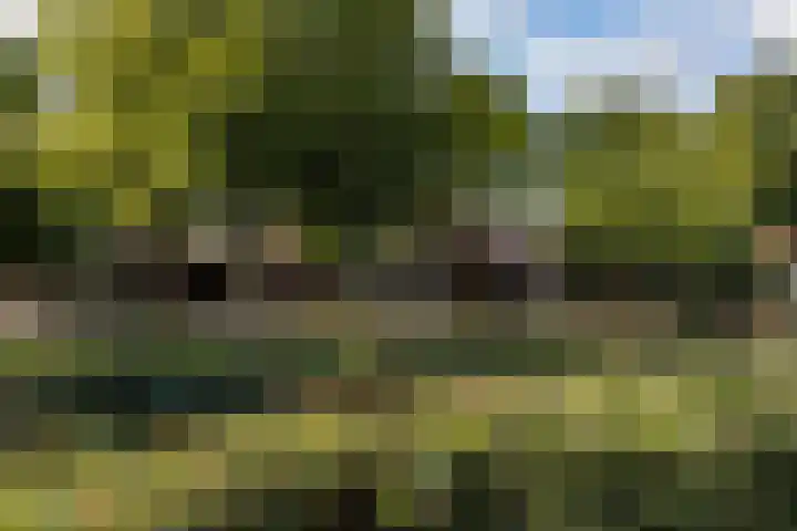 Meerwedesingel 85 Barendrecht thumbnail 7