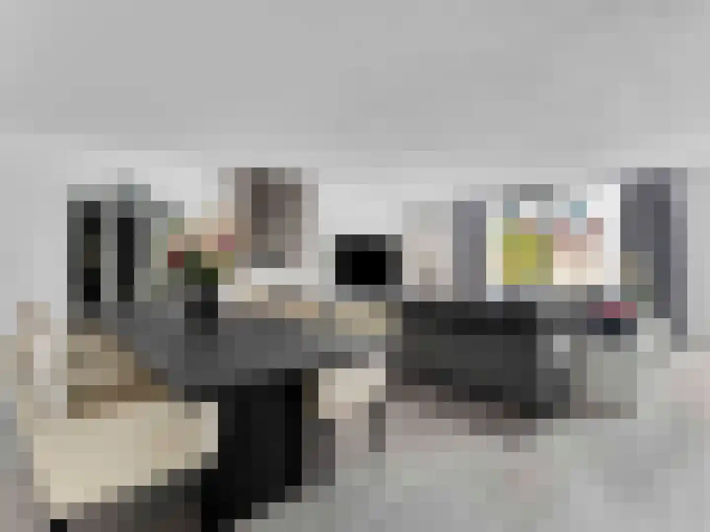 Meerwedesingel 93 Barendrecht thumbnail 13