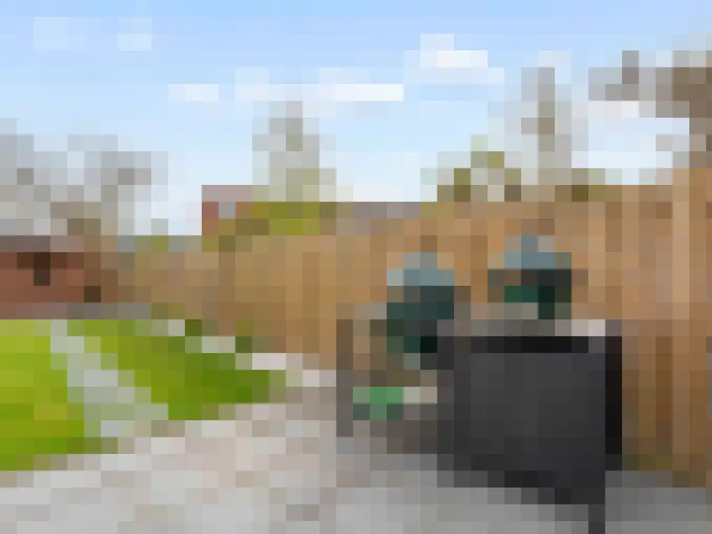 Meerwedesingel 93 Barendrecht thumbnail 41