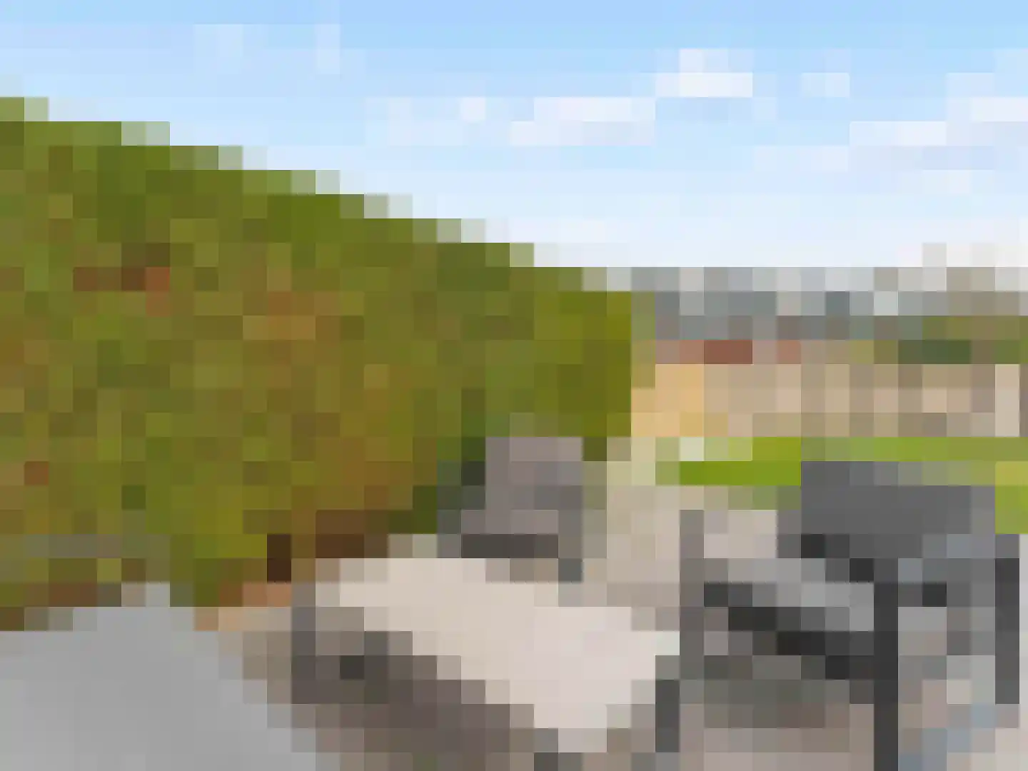 Meerwedesingel 93 Barendrecht thumbnail 44