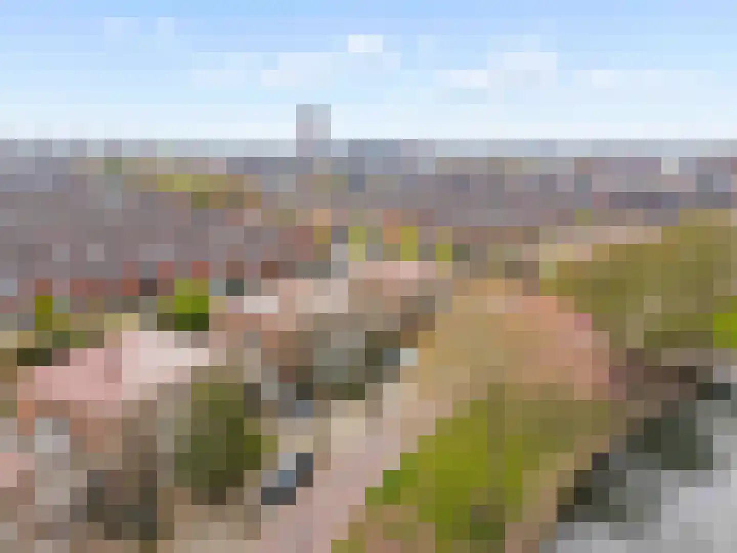 Meerwedesingel 93 Barendrecht thumbnail 52