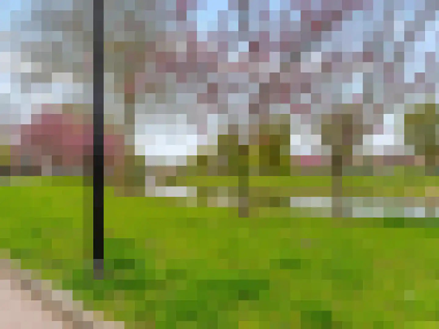 Meerwedesingel 93 Barendrecht thumbnail 55