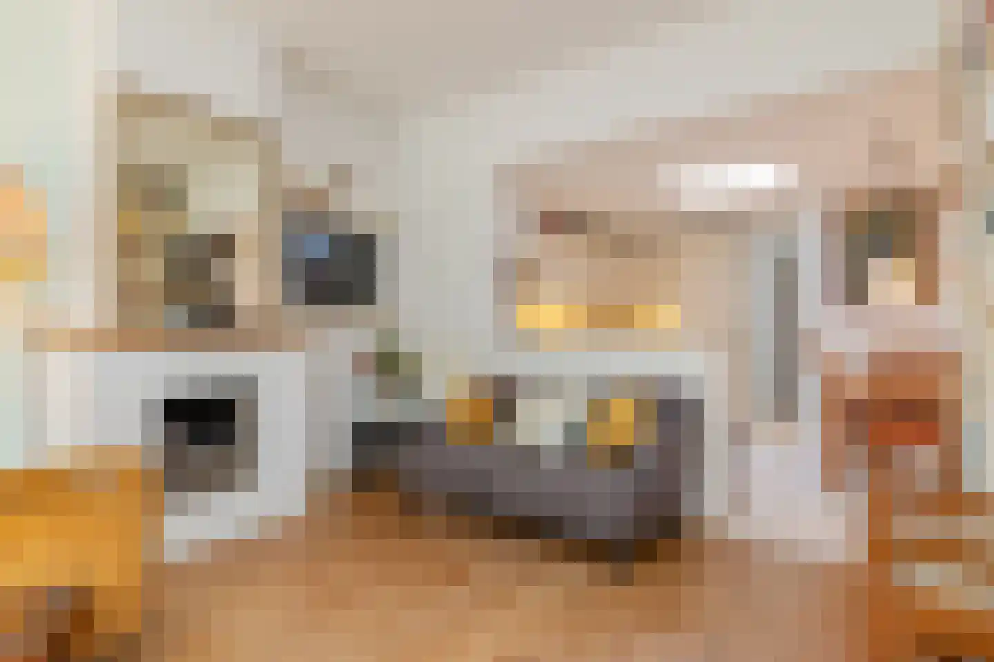 Meerweg 1 Heemstede thumbnail 5