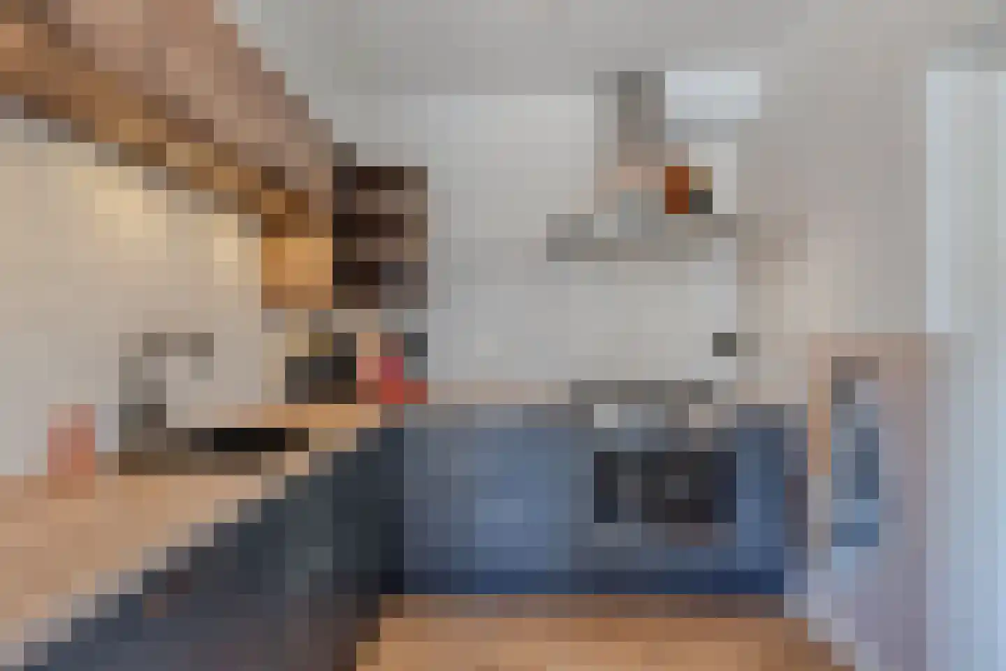 Meerweg 10 Rutten thumbnail 29