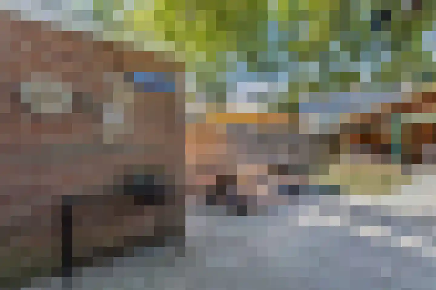 Meerweg 10 Rutten thumbnail 43