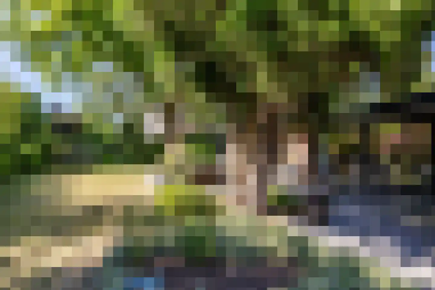 Meerweg 125 Haren Gn thumbnail 11