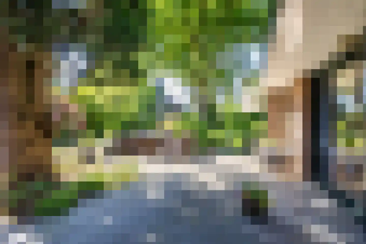 Meerweg 125 Haren Gn thumbnail 13