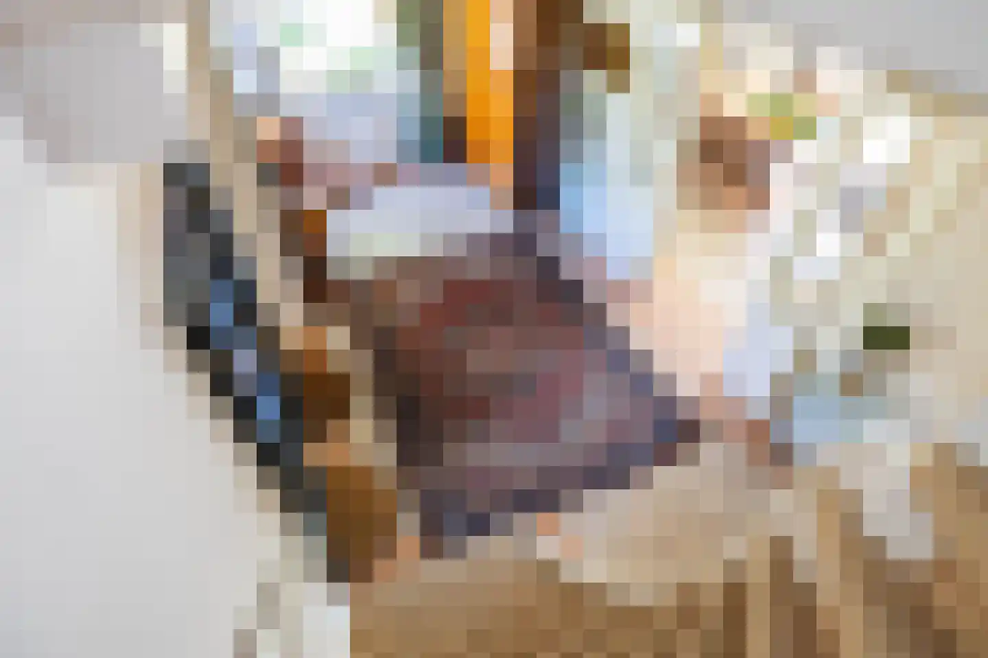 Meerweg 125 Haren Gn thumbnail 37