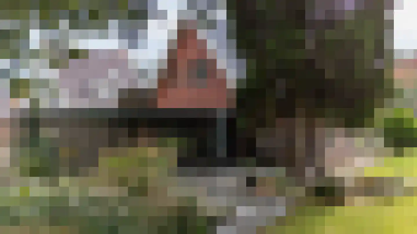 Meerweg 125 Haren Gn thumbnail 5