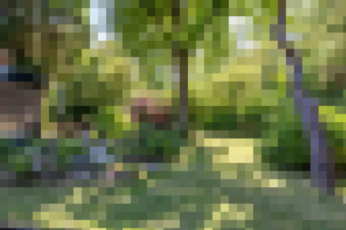 Meerweg 125 Haren Gn thumbnail 8