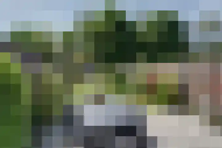 Meerweg 13 Rutten thumbnail 25