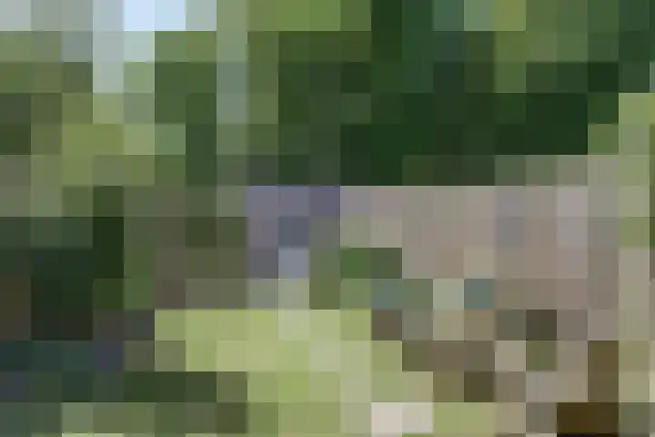 Meerweg 13 Rutten thumbnail 26