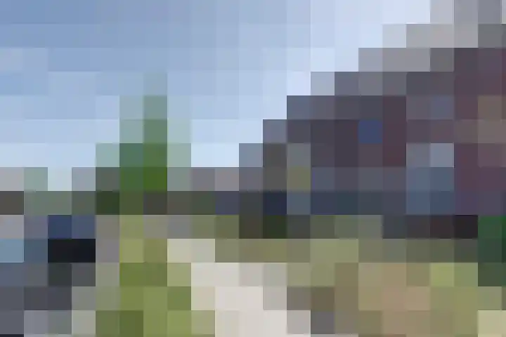 Meerweg 13 Rutten thumbnail 28