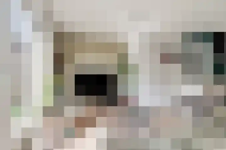 Meerweg 13 Rutten thumbnail 9