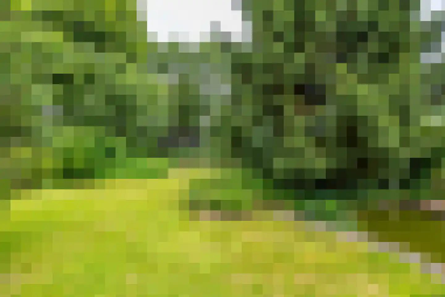 Meerweg 135 Haren Gn thumbnail 26