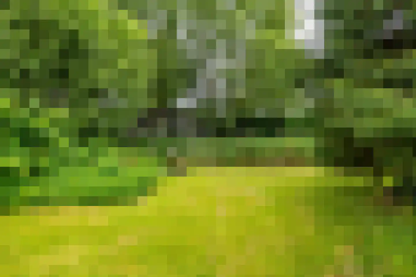 Meerweg 135 Haren Gn thumbnail 27