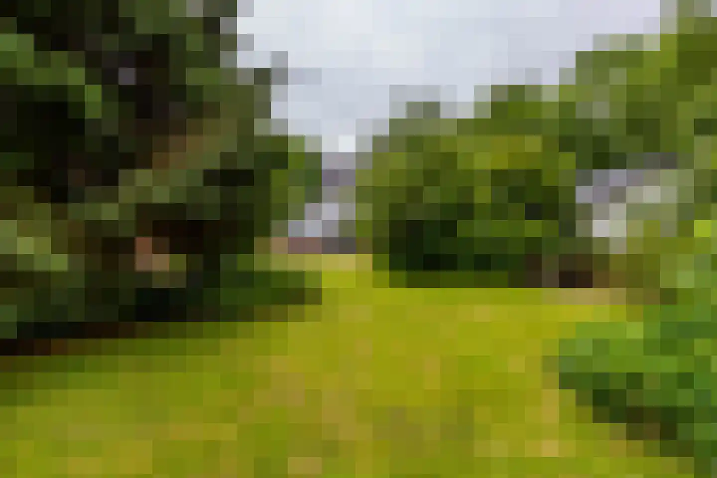 Meerweg 135 Haren Gn thumbnail 28