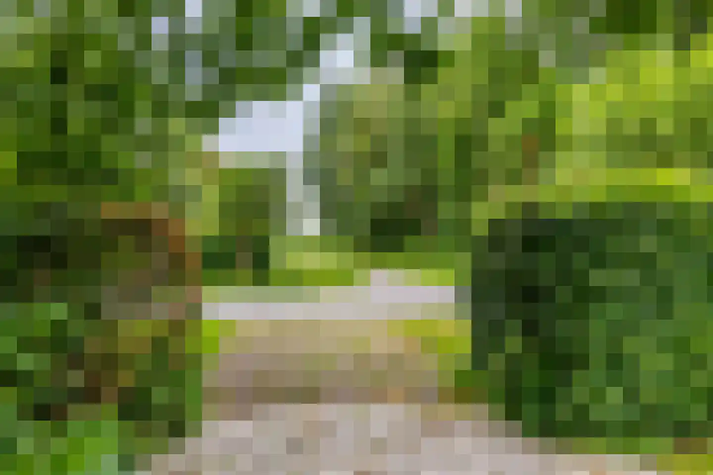 Meerweg 135 Haren Gn thumbnail 44