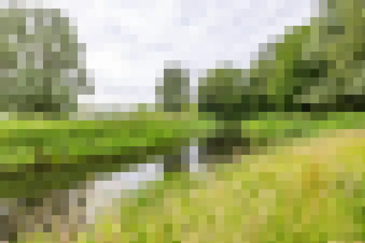 Meerweg 135 Haren Gn thumbnail 6