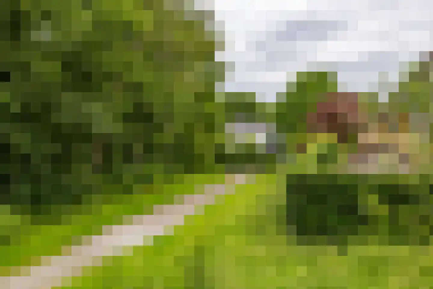 Meerweg 135 Haren Gn thumbnail 7