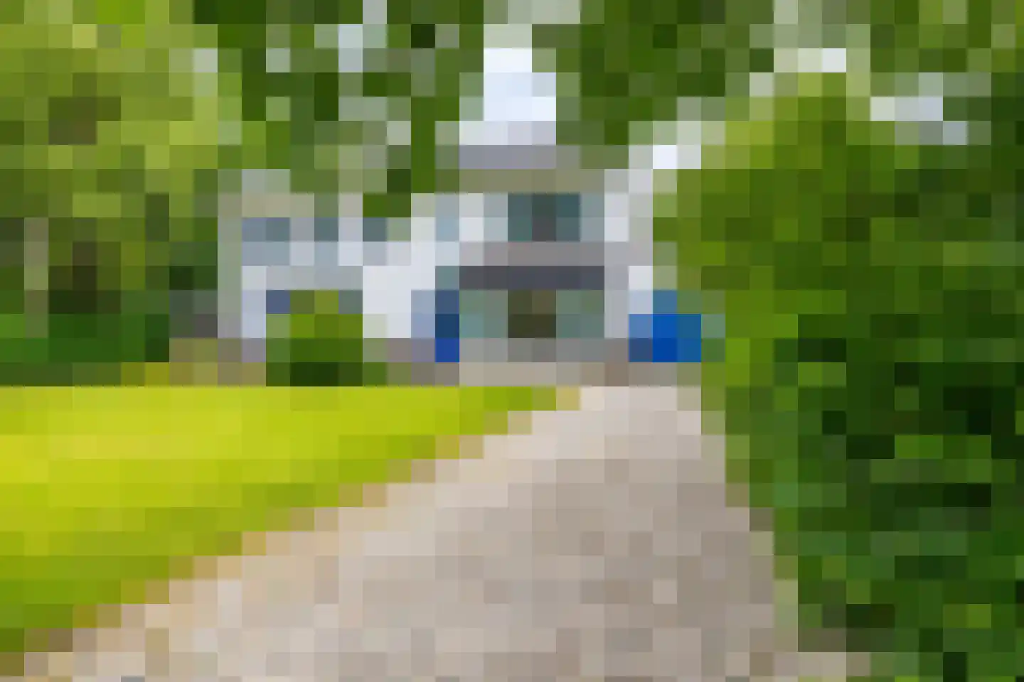 Meerweg 135 Haren Gn thumbnail 8