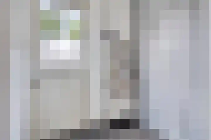 Meerweg 20 Bemmel thumbnail 10