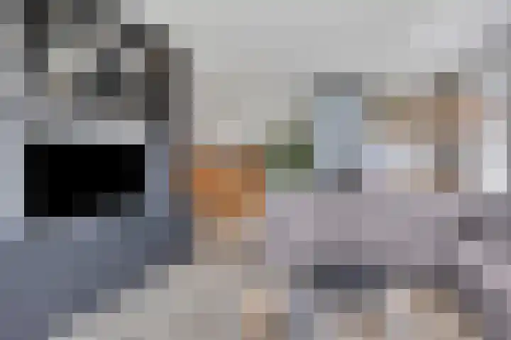 Meerweg 20 Bemmel thumbnail 22