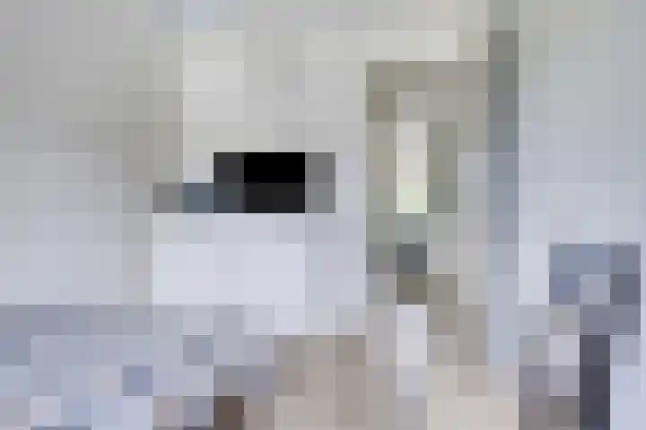 Meerweg 20 Bemmel thumbnail 28