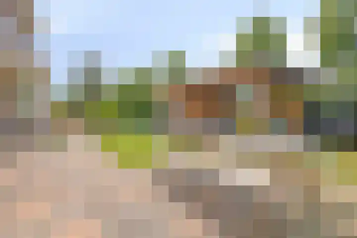Meerweg 20 Bemmel thumbnail 45
