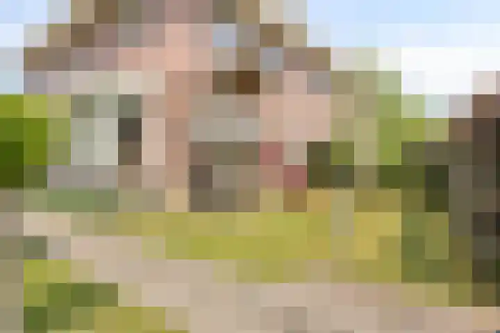 Meerweg 20 Bemmel thumbnail 52