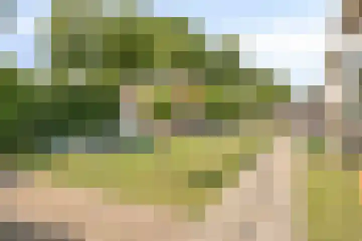 Meerweg 20 Bemmel thumbnail 53