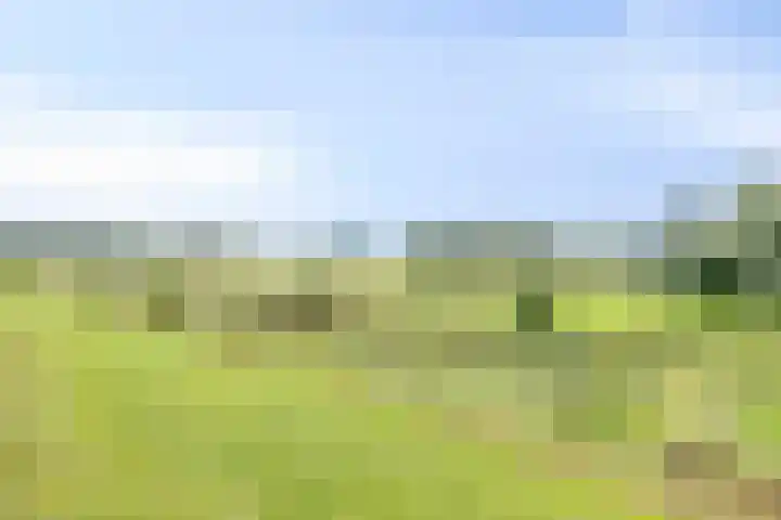 Meerweg 20 Bemmel thumbnail 62