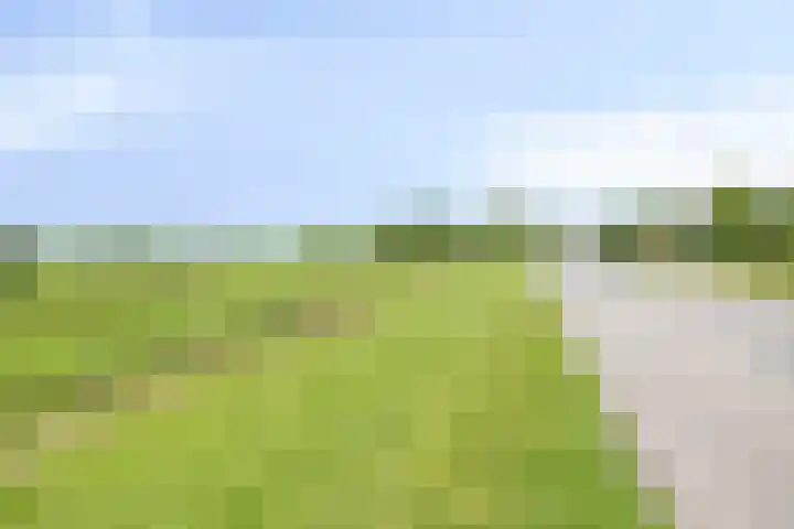 Meerweg 20 Bemmel thumbnail 63