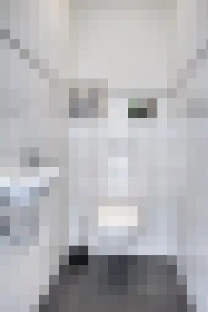 Meerweg 20 Bemmel thumbnail 8